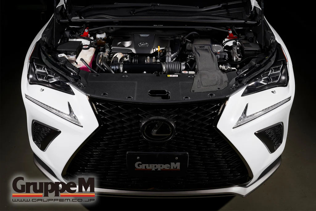 NX300 AGZ10/15 8AR-FTS 2.0L Turbo (2014-2021) FR-0132