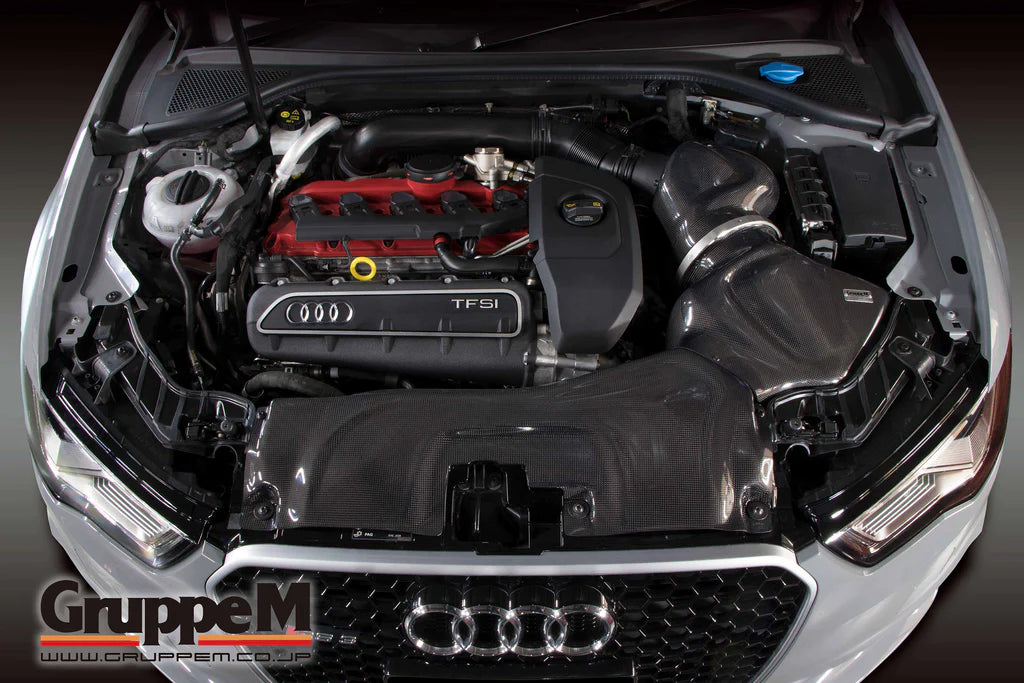 RS3 8V 2.5L TFSI Turbo (2015-2022) FRI-0220